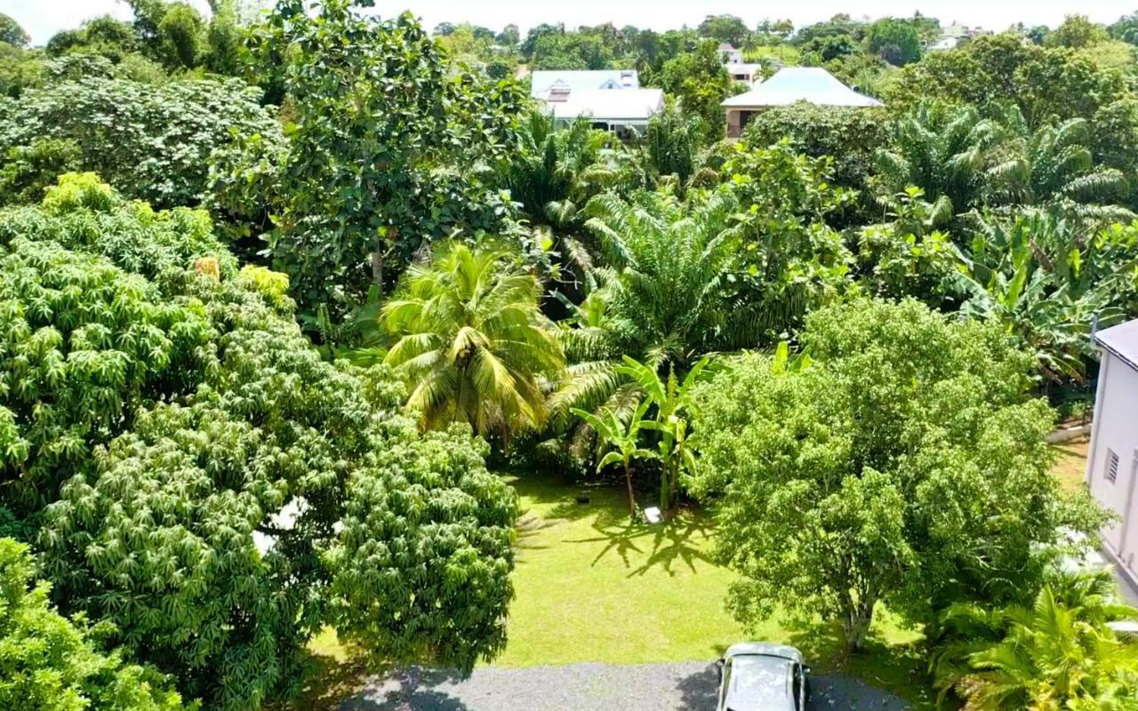 Green Lord Domaine - Lodges Piscine & Spa - Bar & Lounge - Restaurant Gastronomique Lamentin エクステリア 写真